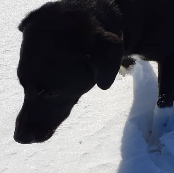 Meet your Posher, Hannah - Picture 1 of 1